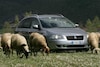 Fiat Croma