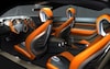 Ford iosis