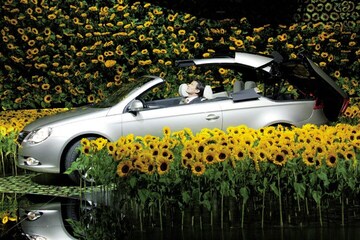 Volkswagen Eos