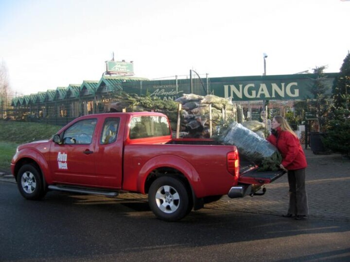 Kerstboom Navara