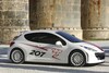 Peugeot 207 RCup