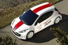 Peugeot 207 RCup