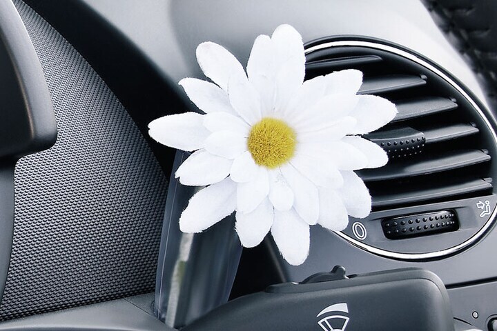 Volkswagen New Beetle