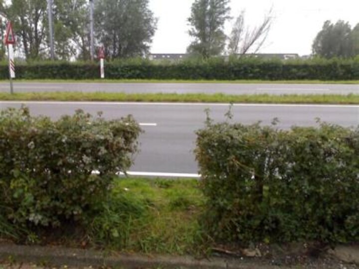 Flitsgat