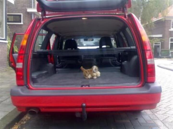 Volvo 850 Estate met hondjes