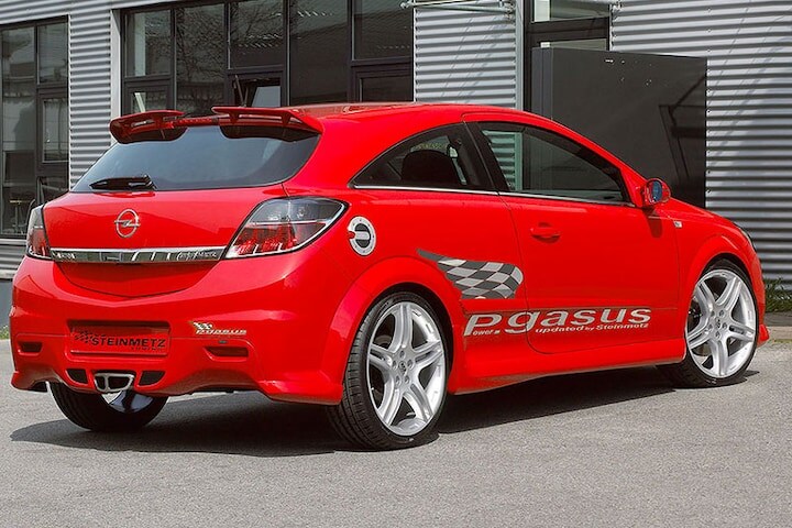 Steinmetz P.Gasus