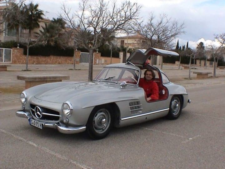 Gullwing