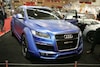 QQI Ice Audi Q7 (foto: Luc Verbeke)