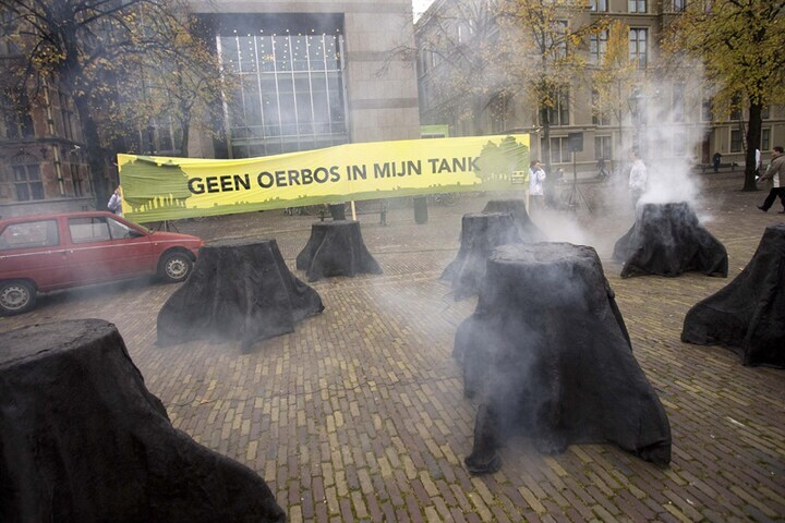 Demonstratie tegen oerbos kap | foto: ANP