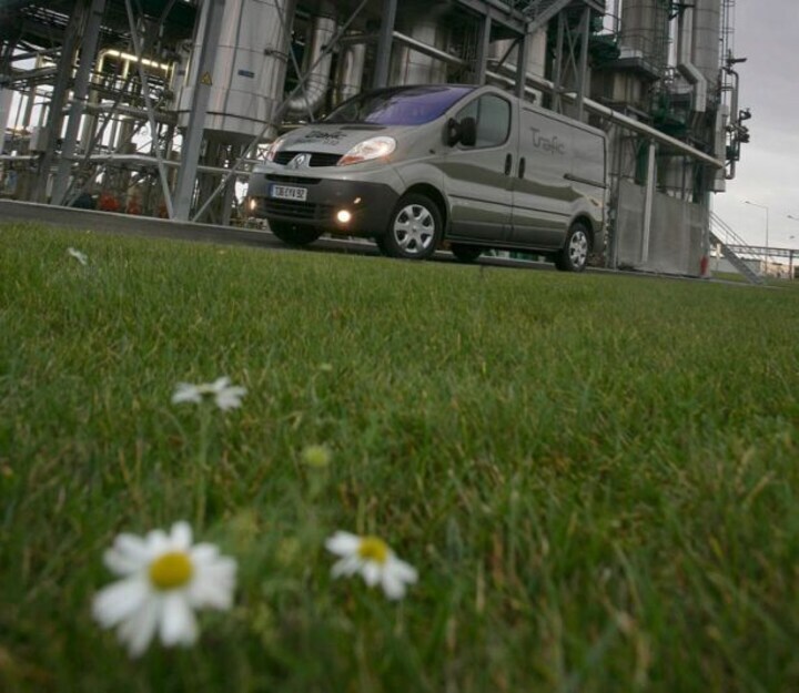 Schone diesel