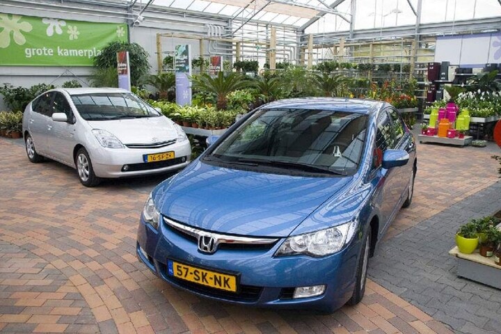 Hybrides bij het tuincentrum