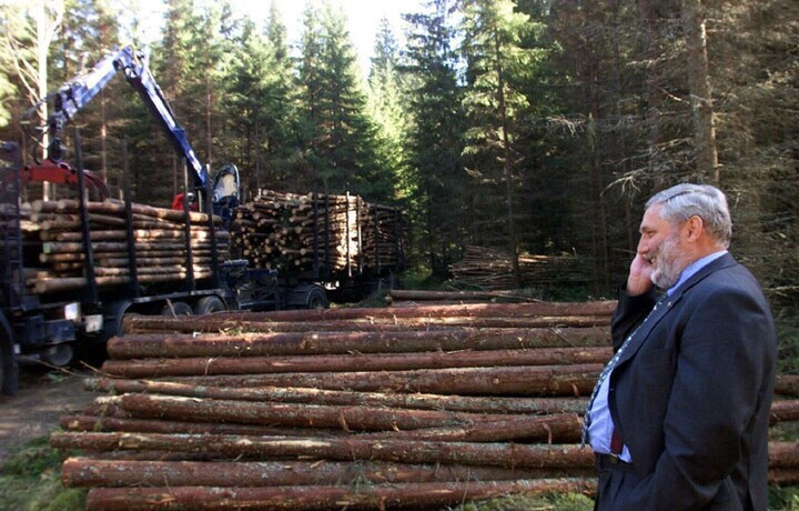 Bosbouw in Finland | Foto: ANP/EPA