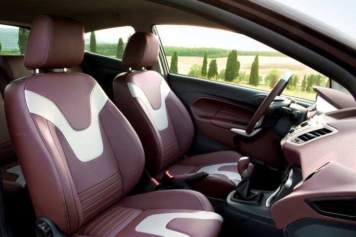 Ford Fiesta Individual