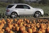 Mercedes ML 63 AMG 10th Anniversary