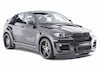 Hamann Tycoon