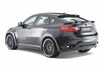 Hamann Tycoon