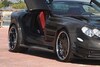 ASMA Perfectus SLR