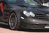 ASMA Perfectus SLR
