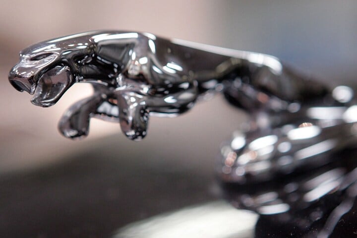 Jaguar logo | Foto: ANP/AFP
