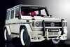 Hamann Typhoon