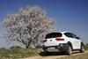 Seat Altea Freetrack
