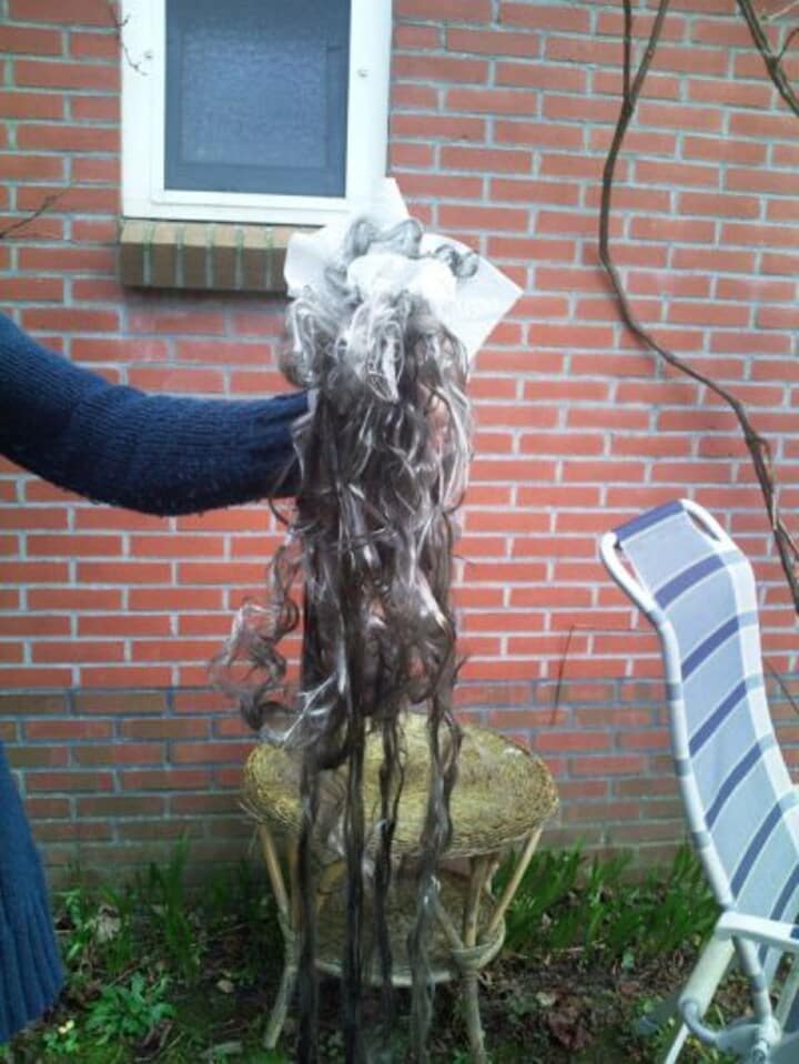 Het uitlaathaar van Bas van Putten