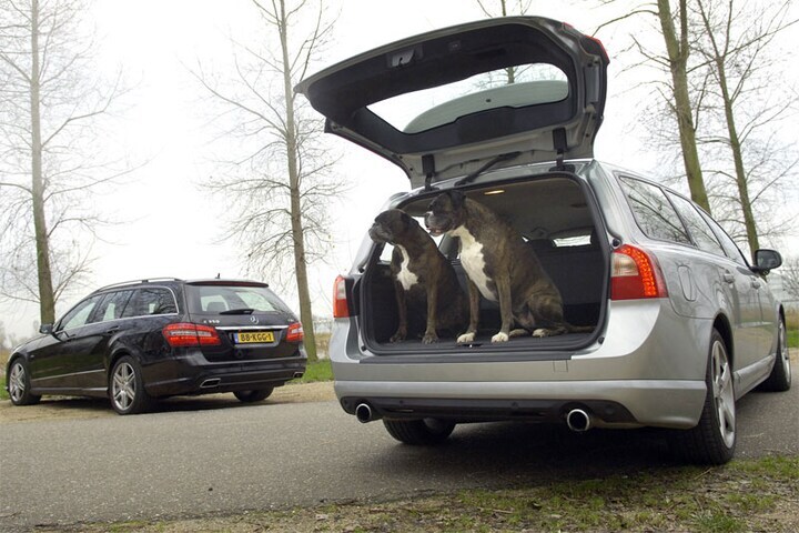 De meiden van de familie Tameling