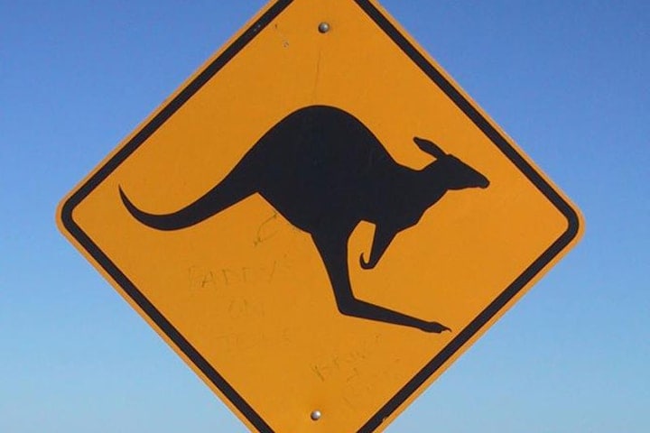 Kangoeroe waarschuwingsbord Australië
