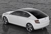 Skoda VisionD