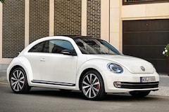 Beetle