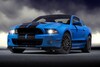 2013 Ford Shelby GT500