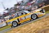 Audi Quattro S1