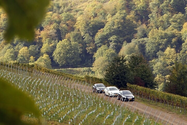 Lezersreis Ardennen