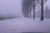 Sneeuw (foto Wouter Knol)