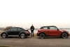 Dubbeltest Paceman Beetle