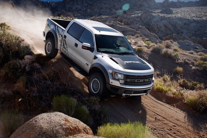 Shelby Raptor