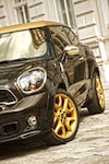 Mini Paceman Cavalli