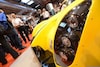 Radical RXC