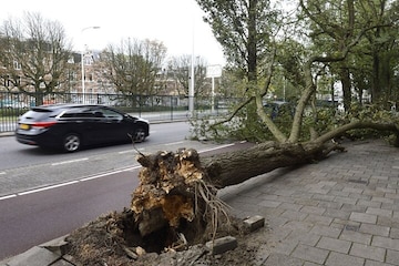Stormschade - foto ANP