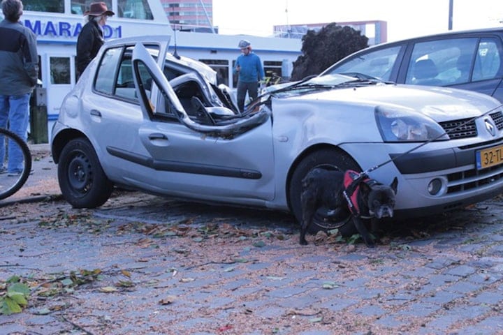 Stormschade 28 oktober 2013