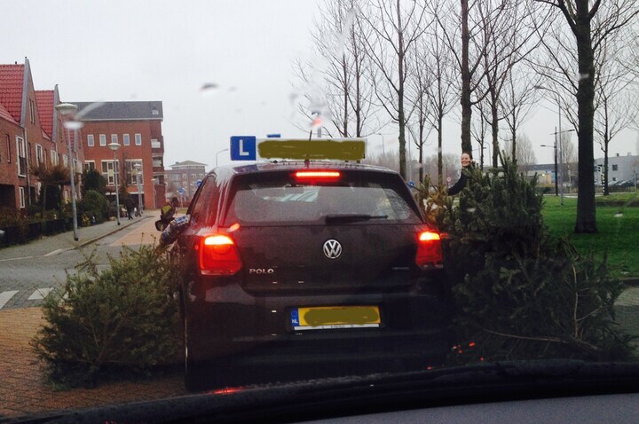 Rijles