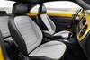 Volkswagen Beetle Dune