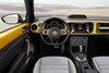 Volkswagen Beetle Dune