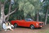 50 jaar Ford Mustang: het dak op