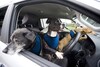 Paw-wheel-drive Volkswagen 1 April