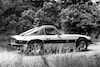 TVR 3000M