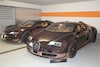 Bugatti Veyron Rembrandt Semco 