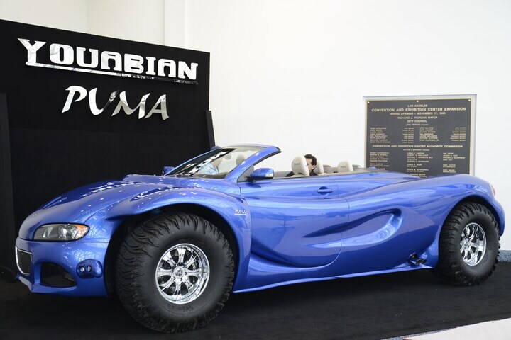 Youabian Puma