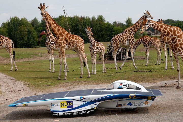 Nuna zonneauto op Safari in Beekse Bergen