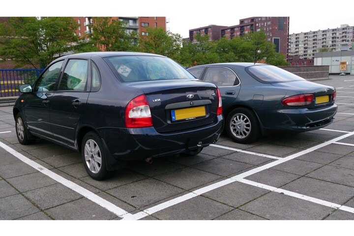 Lada Kalina In het Wild